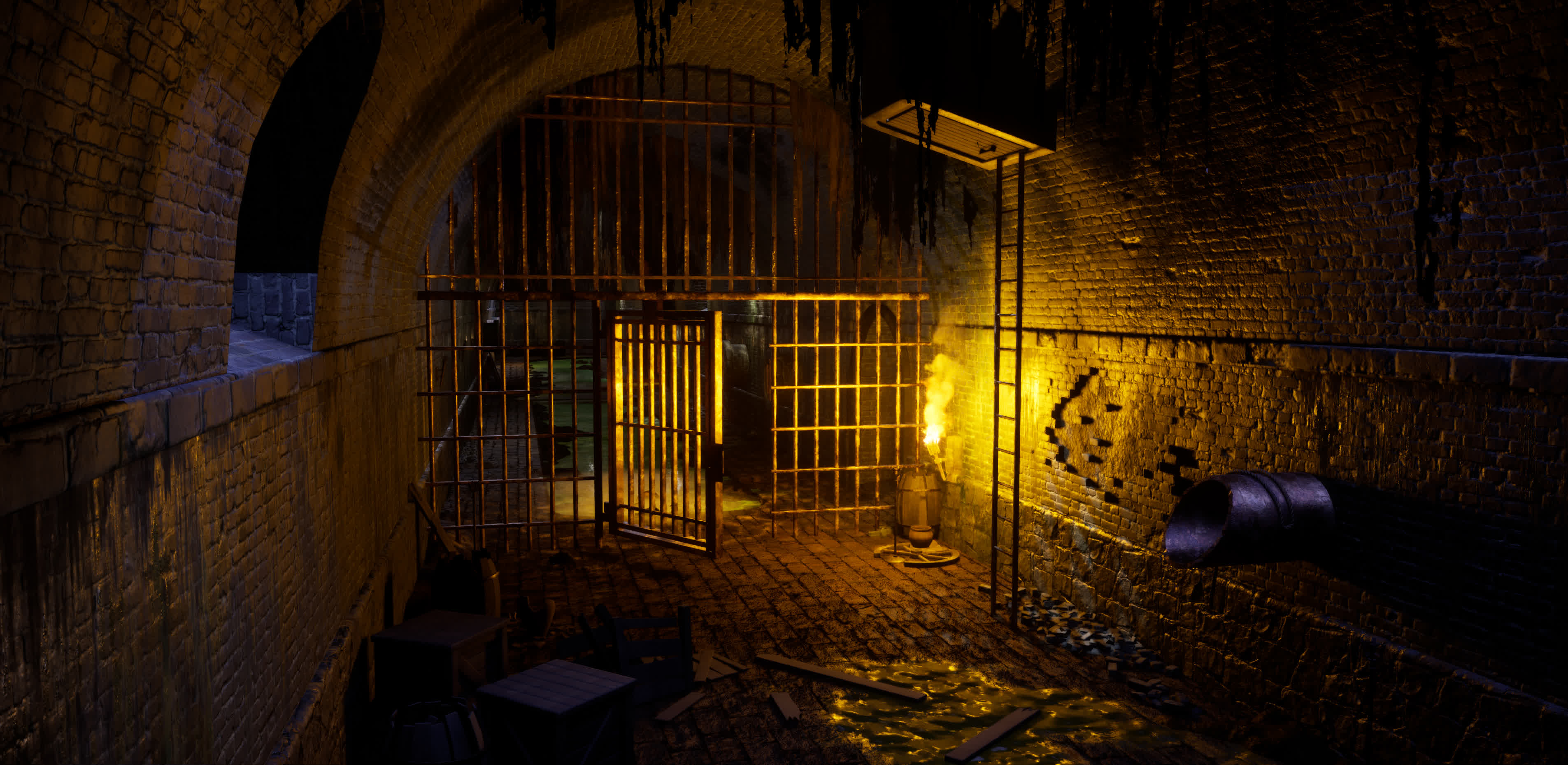 Sewer Entry Ladder